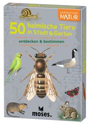 50 heimische Tiere in Stadt, Land & Garten