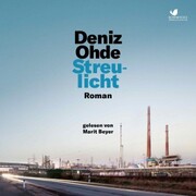 Streulicht - Cover
