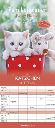 Kätzchen 2025 Familienplaner - Familienkalender - Wandkalender - 19,5x45