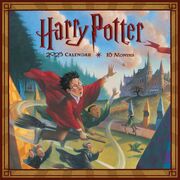 Harry Potter (Literatur) 2025 30X30 Broschürenkalender - Cover