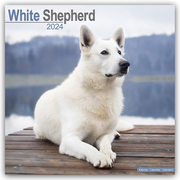White German Shepherd - Weiße Schäferhunde 2024