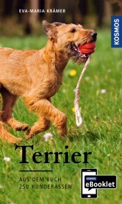 KOSMOS eBooklet: Terrier - Ursprung, Wesen, Haltung