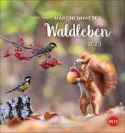 Märchenhaftes Waldleben Postkartenkalender 2025