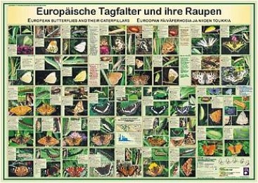 Europäische Tagfalter und ihre Raupen