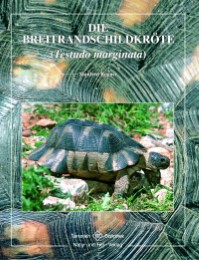 Die Breitrandschildkröte