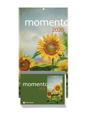 momento 2025 - Abreißkalender mit Rückwand und Aufstellfuß