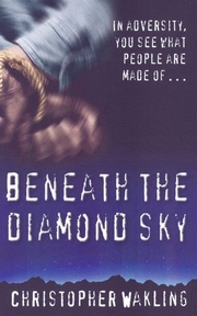 Beneath the Diamond Sky