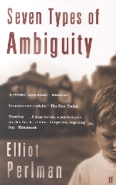 Seven Types of Ambiguity - Cover