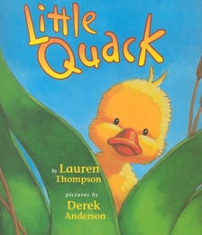 Little Quack