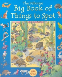 The Usborne Big Book of Things to Spot