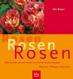Rosen, Rosen, Rosen