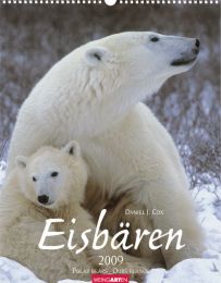 Eisbären/Polar Bears/Ours Blancs