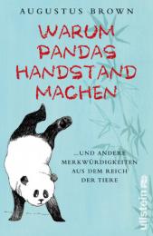 Warum Pandas Handstand machen