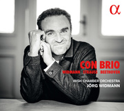 Con Brio - Werke für Kammerorchester - Cover