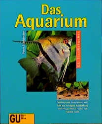Aquarium einrichten
