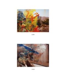 Gerhard Richter - Übermalte Fotografien - Illustrationen 3
