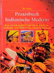 Praxisbuch Indianische Medizin