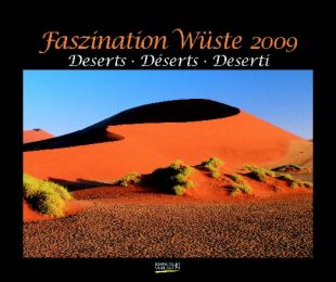 Faszination Wüste