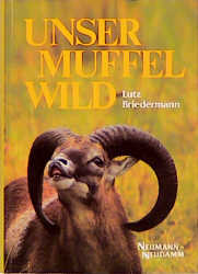 Unser Muffelwild