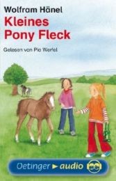 Kleines Pony Fleck