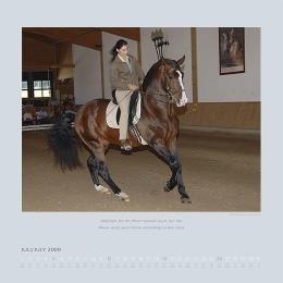 Reitkunst/Horsemanship - Abbildung 7
