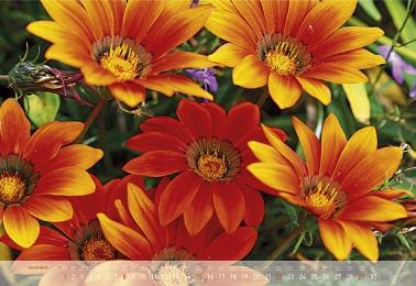 Blütenträume/Enchanting Flowers/Reves en fleur - Abbildung 11
