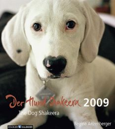 Der Hund Shakeera
