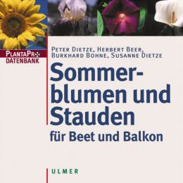Sommerblumen und Stauden für Beet und Balkon
