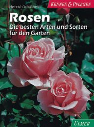 Rosen - Cover