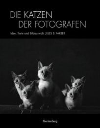 Die Katzen der Fotografen