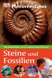 Steine und Fossilien