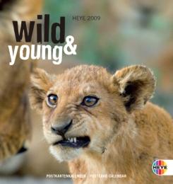 Wild & young