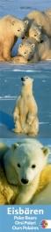 Eisbären long