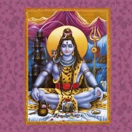 Shiva - Abbildung 6