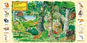 Der Wald - Illustrationen 1