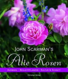 John Scarman's Alte Rosen - Cover