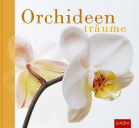 Orchideenträume