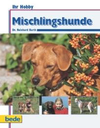 Mischlingshunde