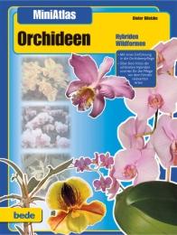 MiniAtlas Orchideen