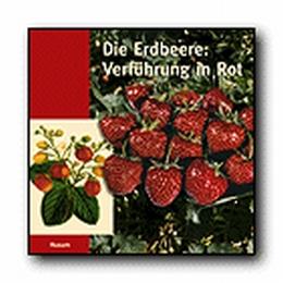 Die Erdbeere: Verführung in Rot