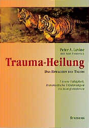 Trauma-Heilung - Cover
