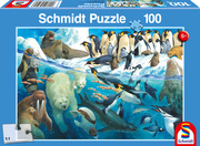 Tiere am Polarkreis - Cover