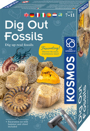 Dig Out Fossils/Fossilien