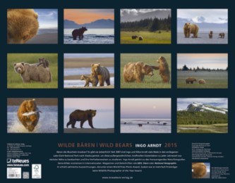 Wilde Bären 2015 - Illustrationen 1
