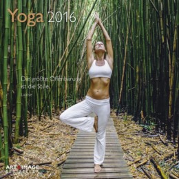 Yoga 2016