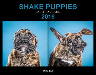 Shake Puppies 2016