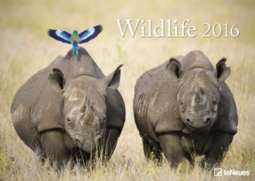 Wildlife 2016