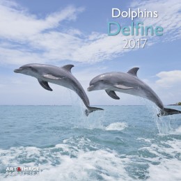Delfine/Dolphins 2017