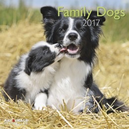 Family Dogs 2017