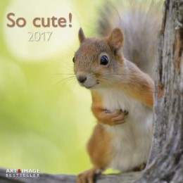 So cute! 2017 - Cover